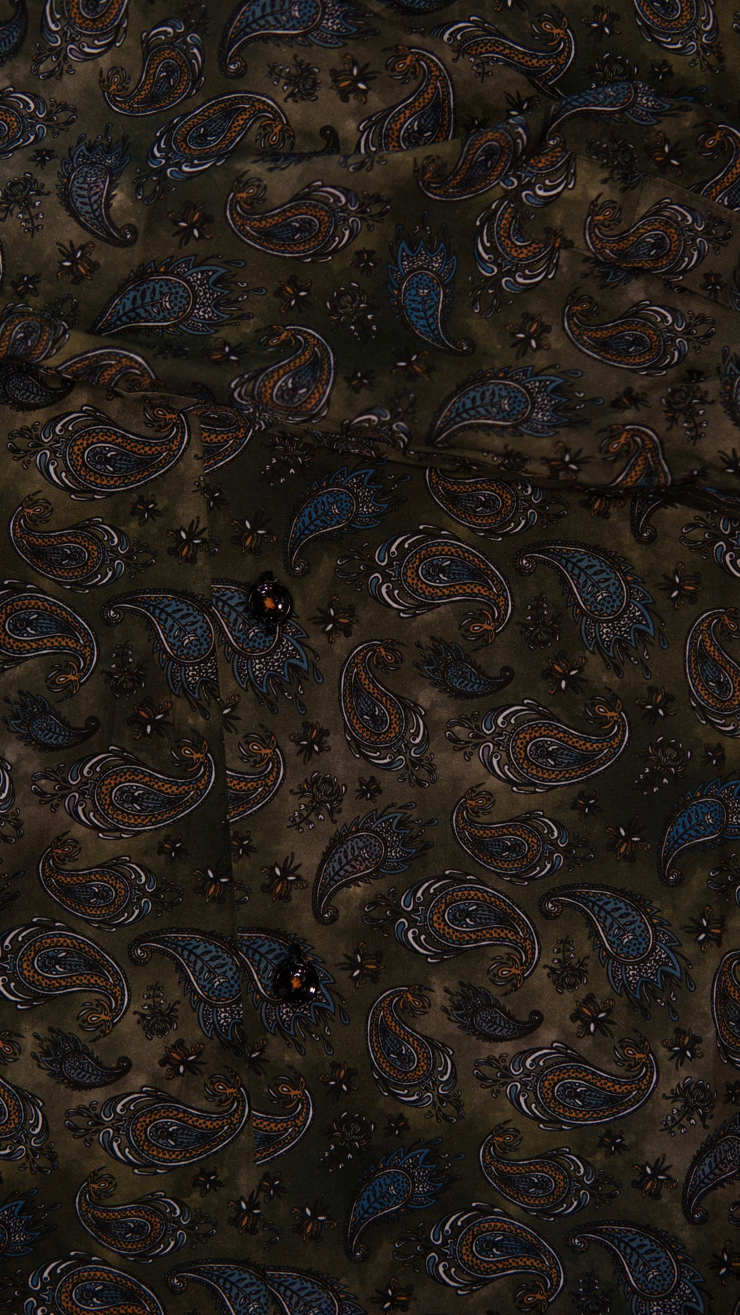 Men’s Printed Long Sleeve Button Up - Paisley’s Swamp