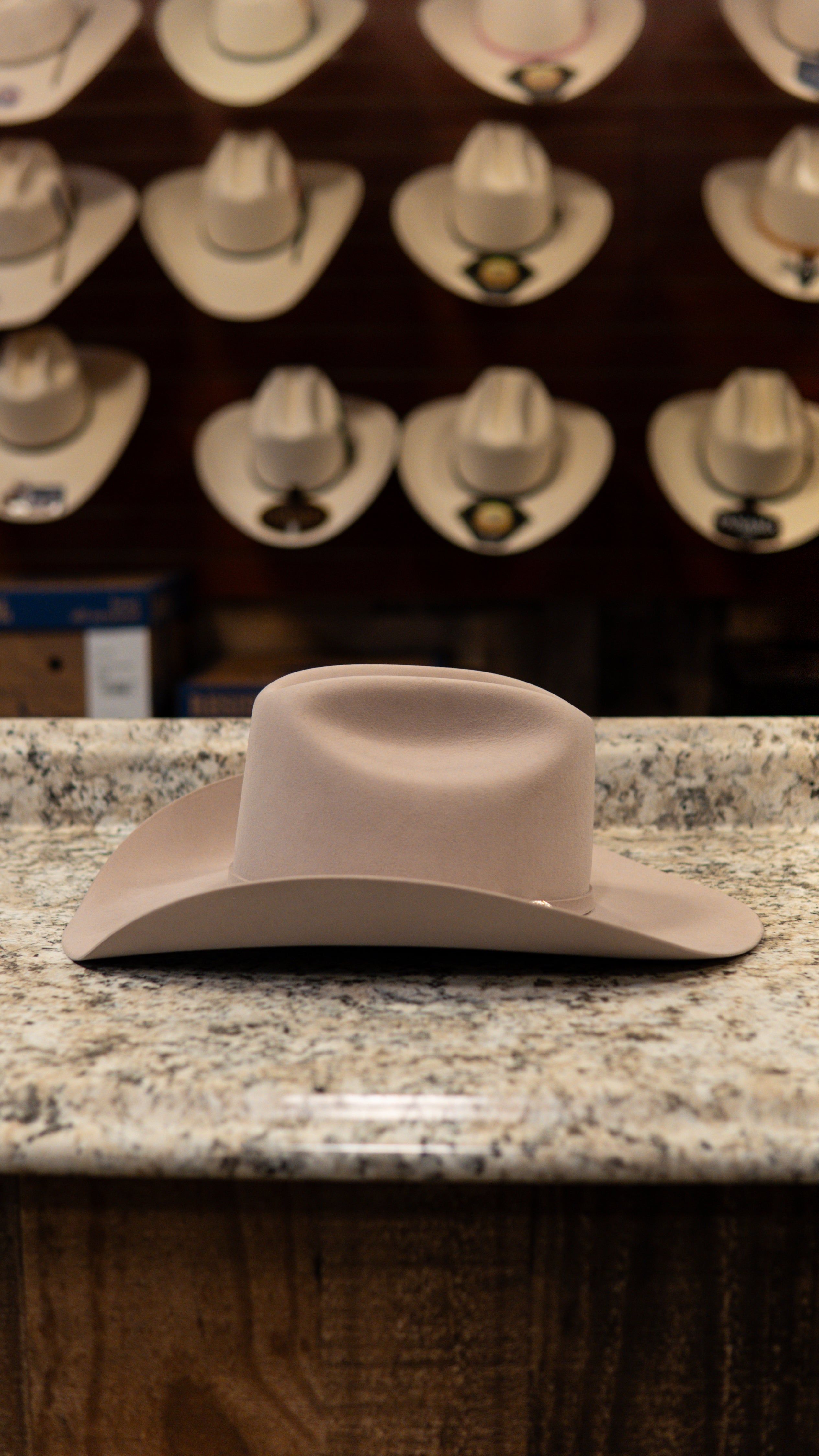 Stetson 100x “El Presidente” Legendary Silverbelly Gold Edition Beaver Felt Hat Tejana