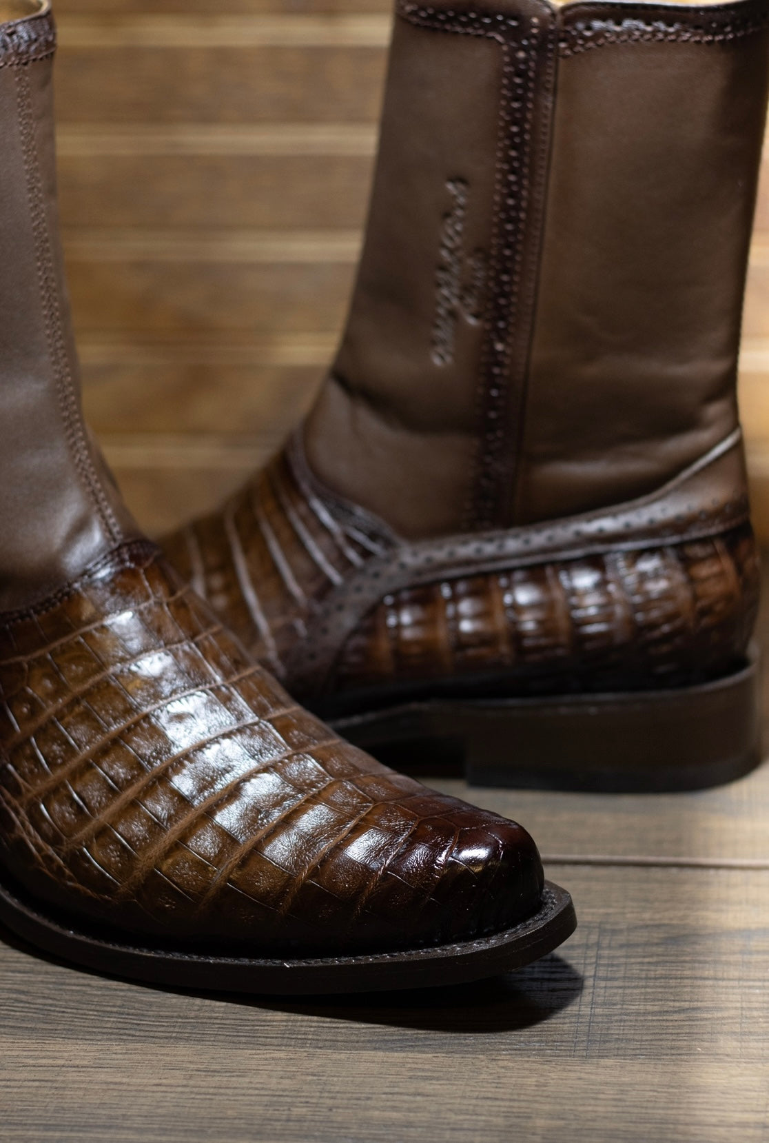 Caiman Belly Francia Zipper Botin “Faded Brown”