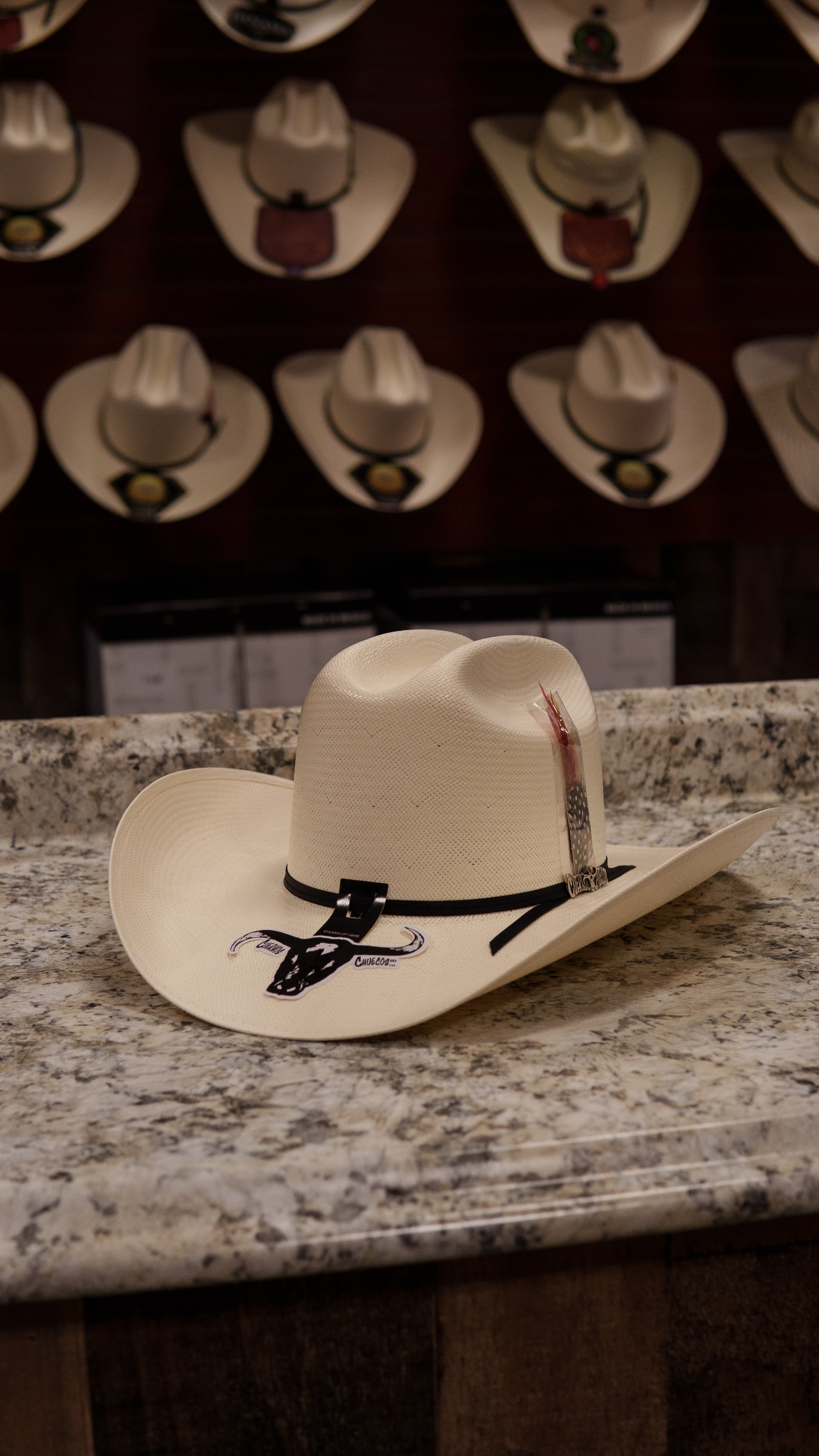 Cuernos Chuecos Sombrero 100x