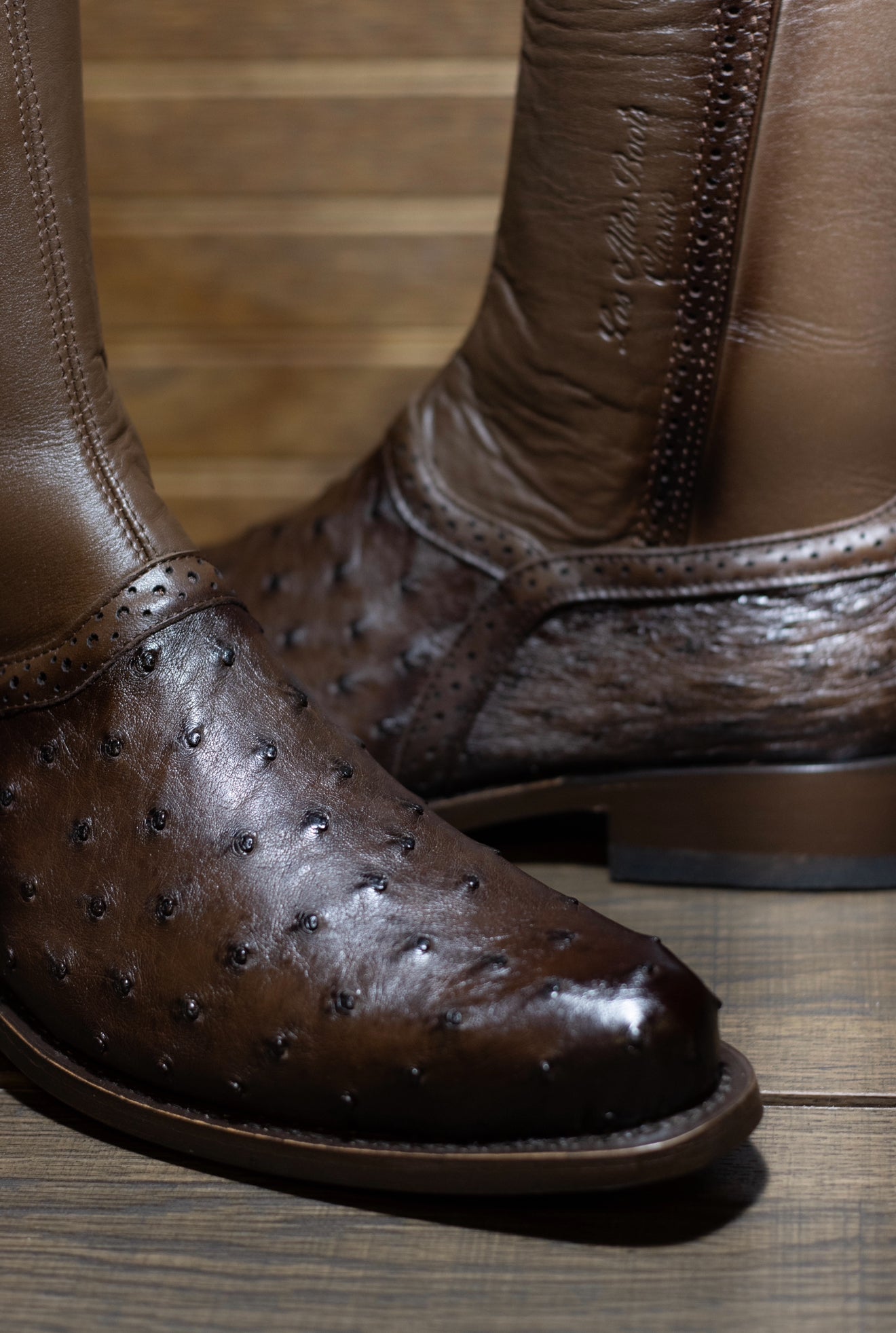 Ostrich Francia Zipper Botin “Faded Brown”