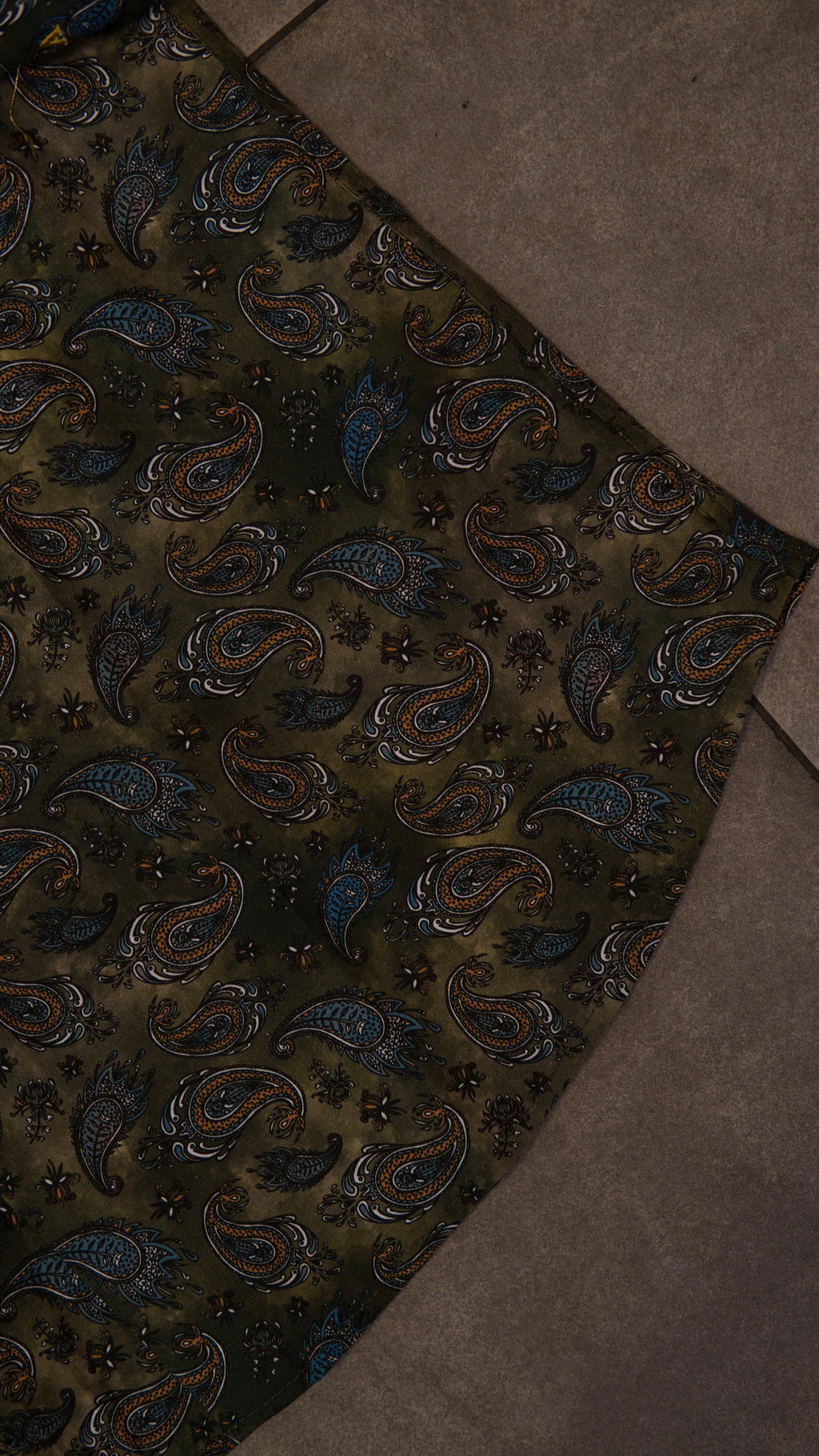 Men’s Printed Long Sleeve Button Up - Paisley’s Swamp