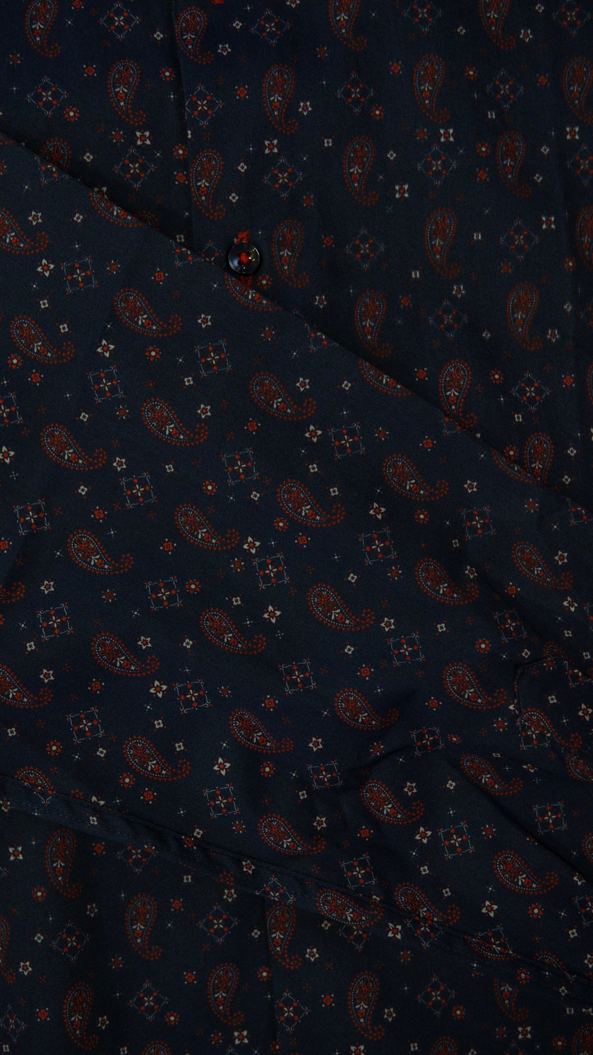 Men’s Printed Long Sleeve Button Up - Gravity Paisley