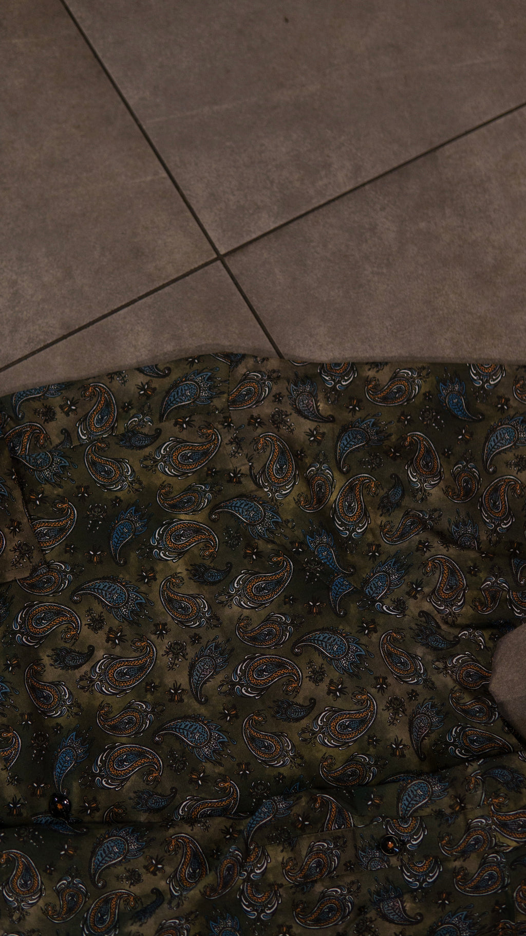 Men’s Printed Long Sleeve Button Up - Paisley’s Swamp