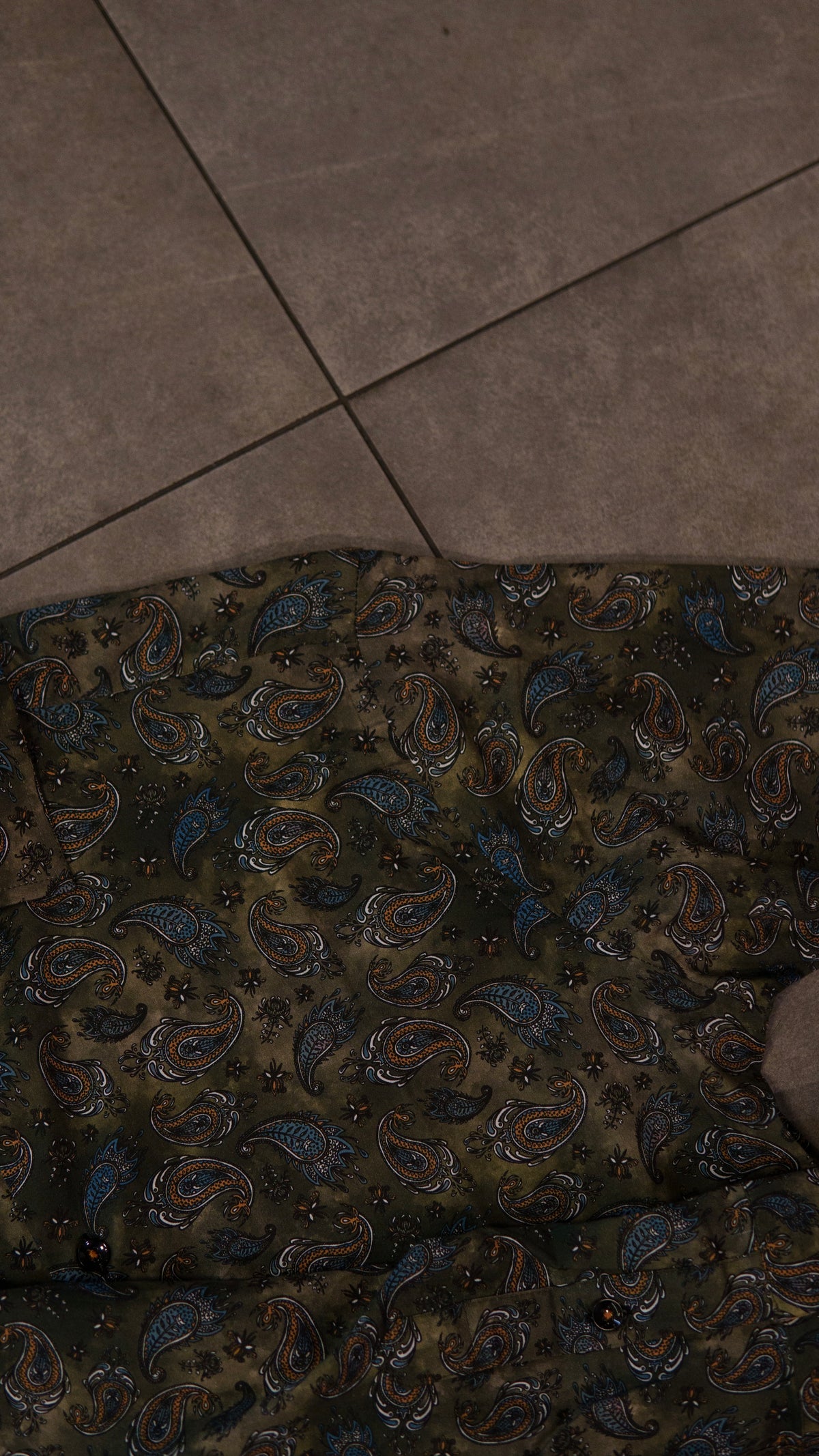 Men’s Printed Long Sleeve Button Up - Paisley’s Swamp