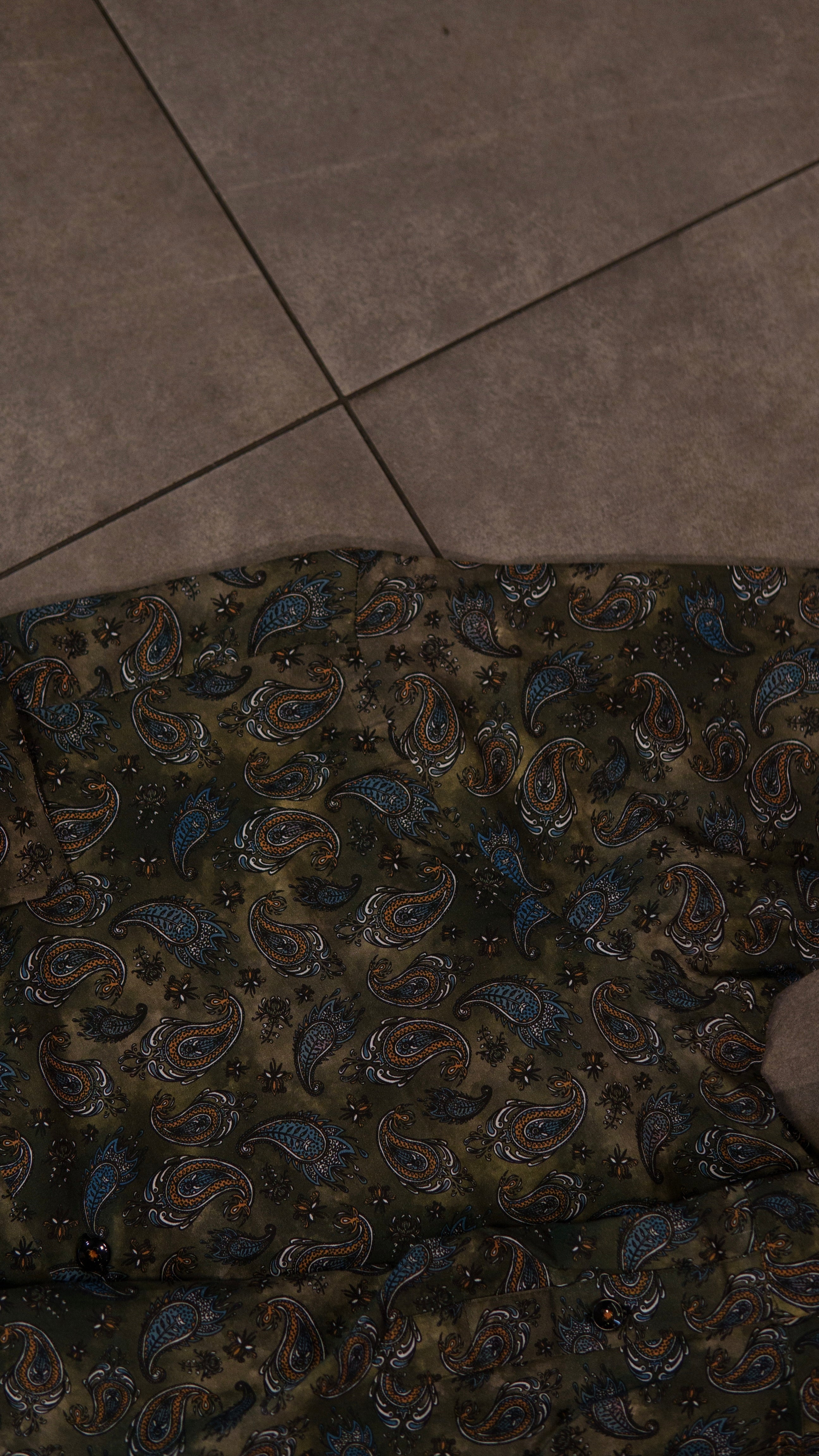 Men’s Printed Long Sleeve Button Up - Paisley’s Swamp