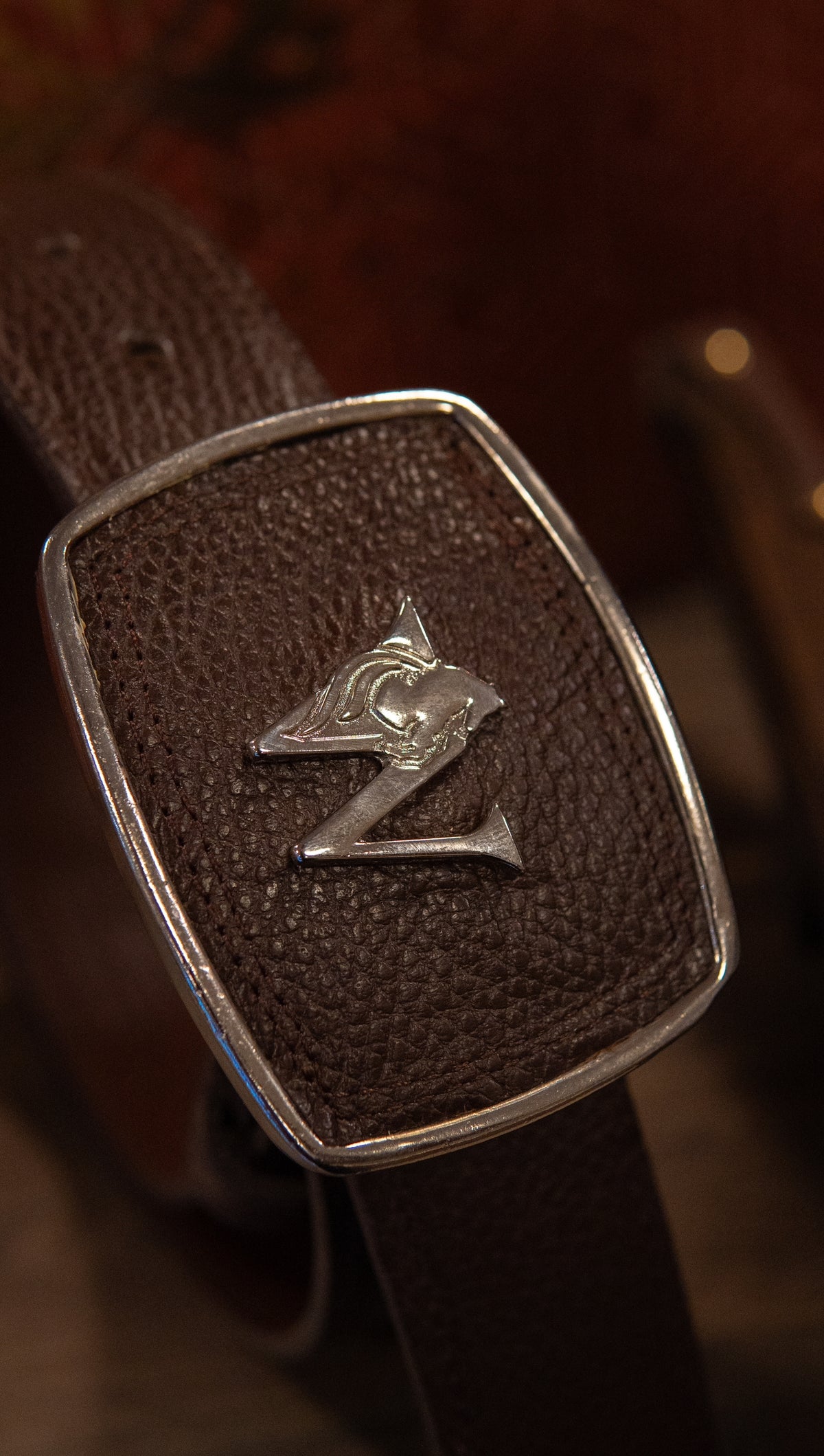 Monaco Gold/Silver - Choco Brown Belt