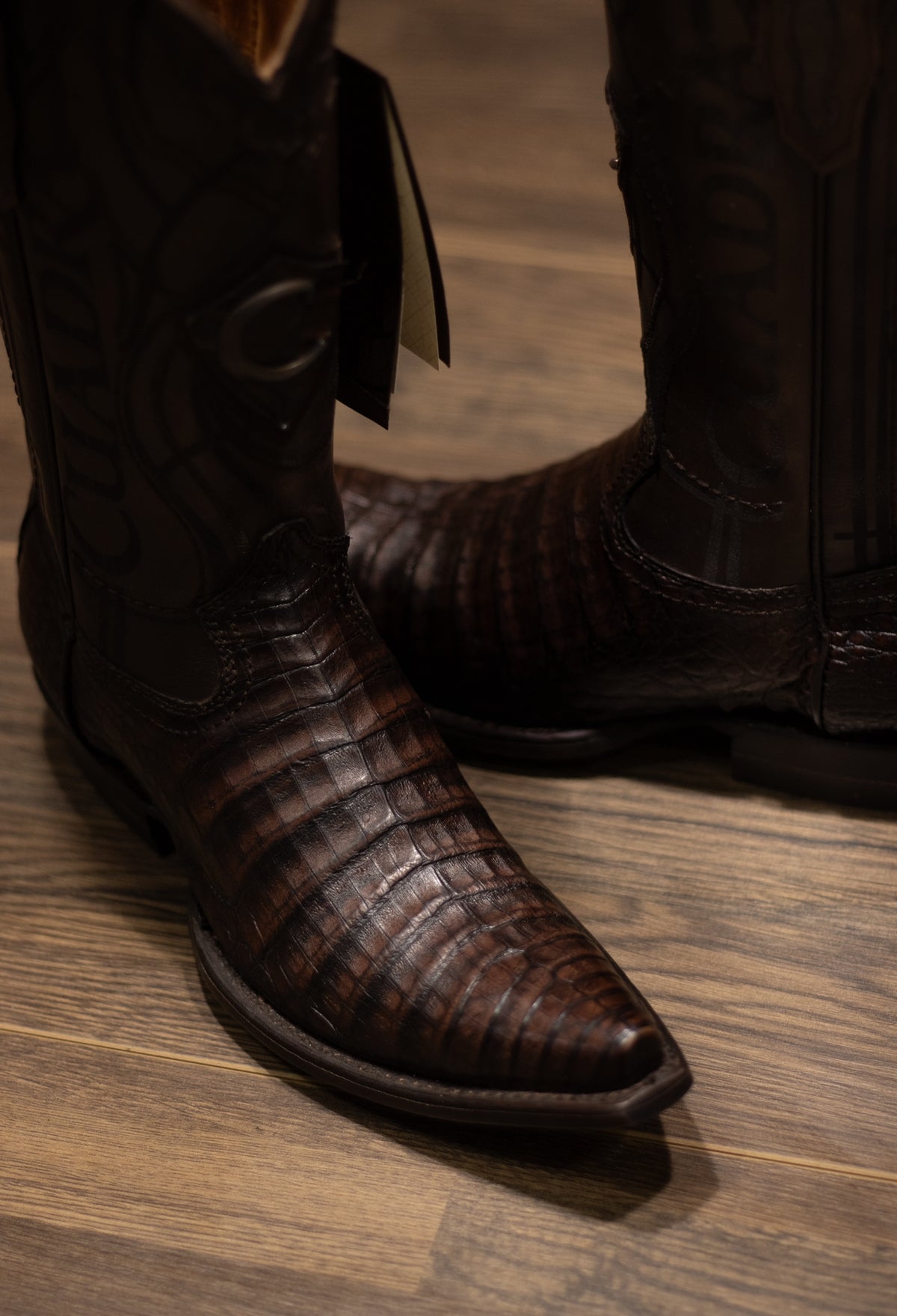 Cuadra - Caiman Belly Lumber Moka Snip Toe