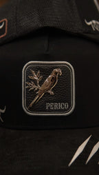 King Ranch Snapback Cap Silver Perico