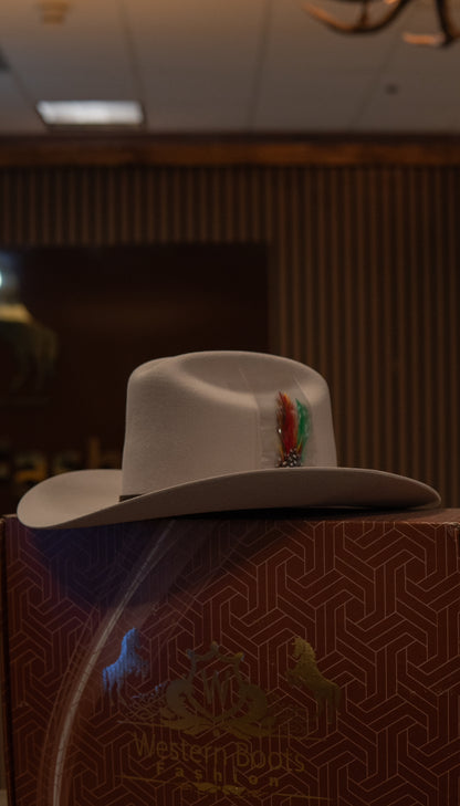 Morcon Tejana/Felt 20X Silverbelly Sinaloa