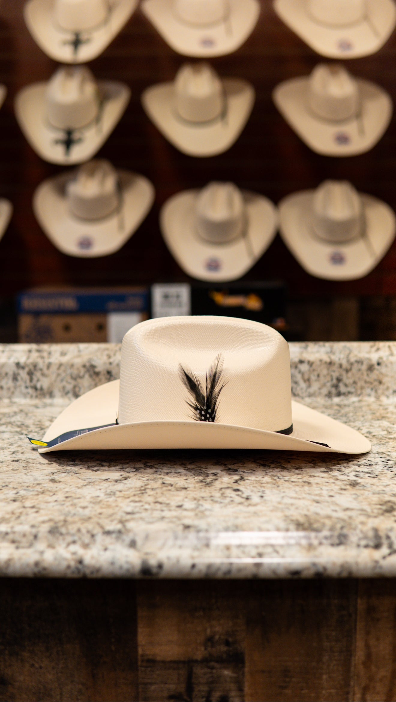 Tombstone Sombrero Straw 100X Chaparral Sinaloa