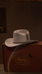 Morcon Tejana/Felt 20X Silverbelly Sinaloa