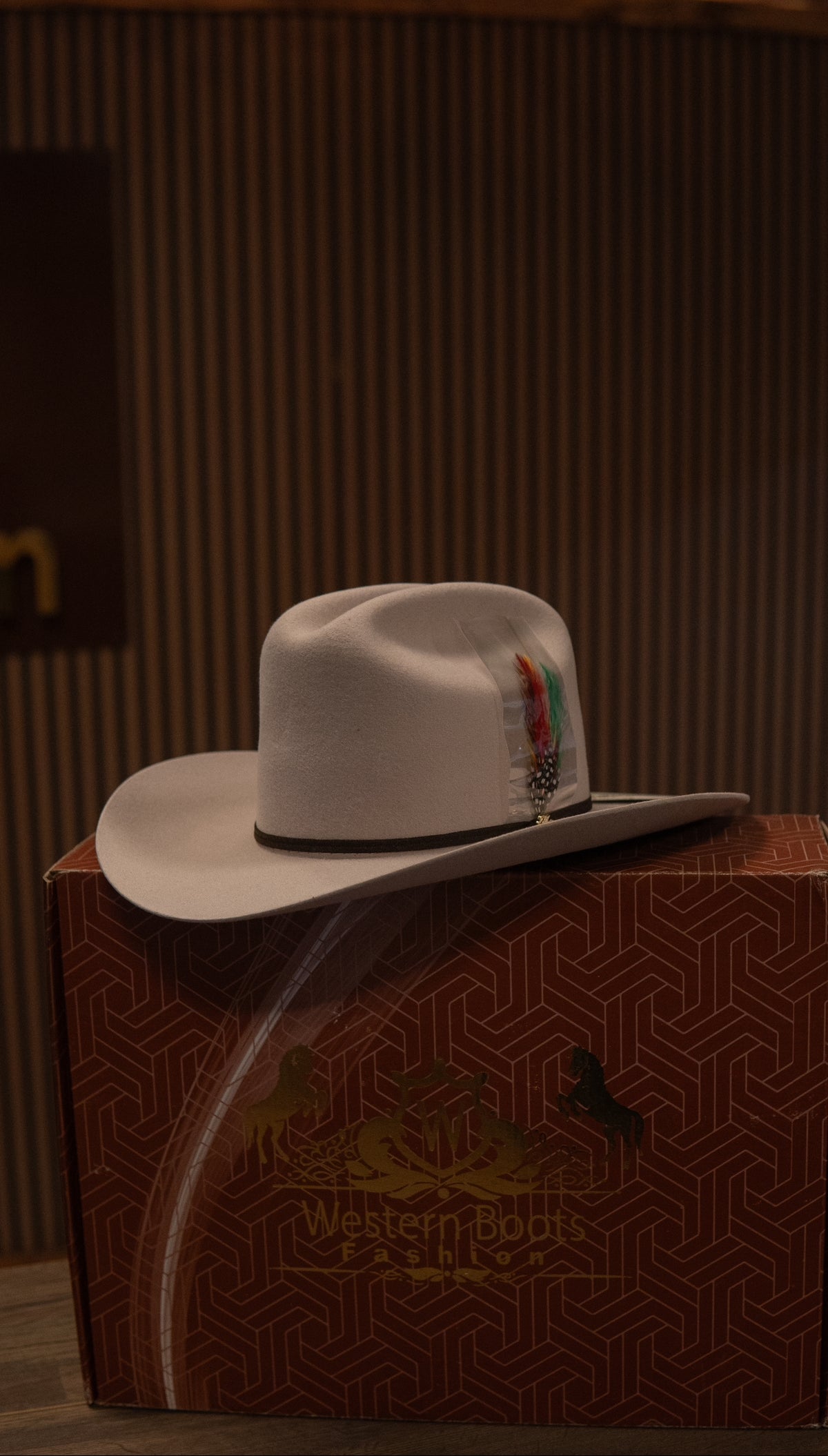 Morcon Tejana/Felt 20X Silverbelly Sinaloa