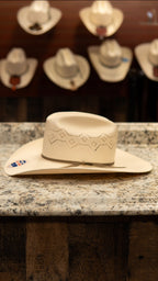Resistol Tuff Enuff Sombrero