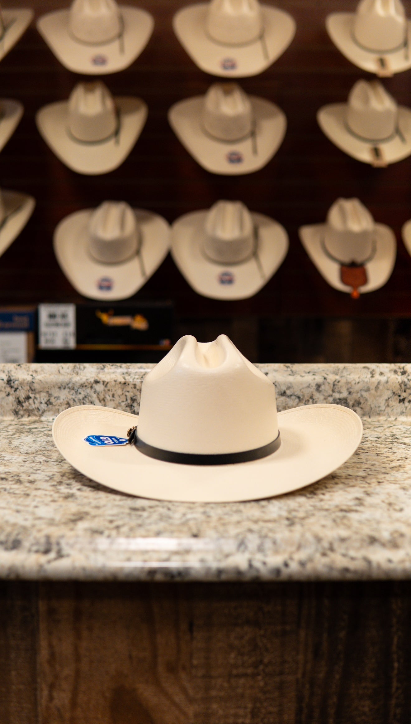 Rocha Hat Sombrero Straw 100x Sinaloa Hat