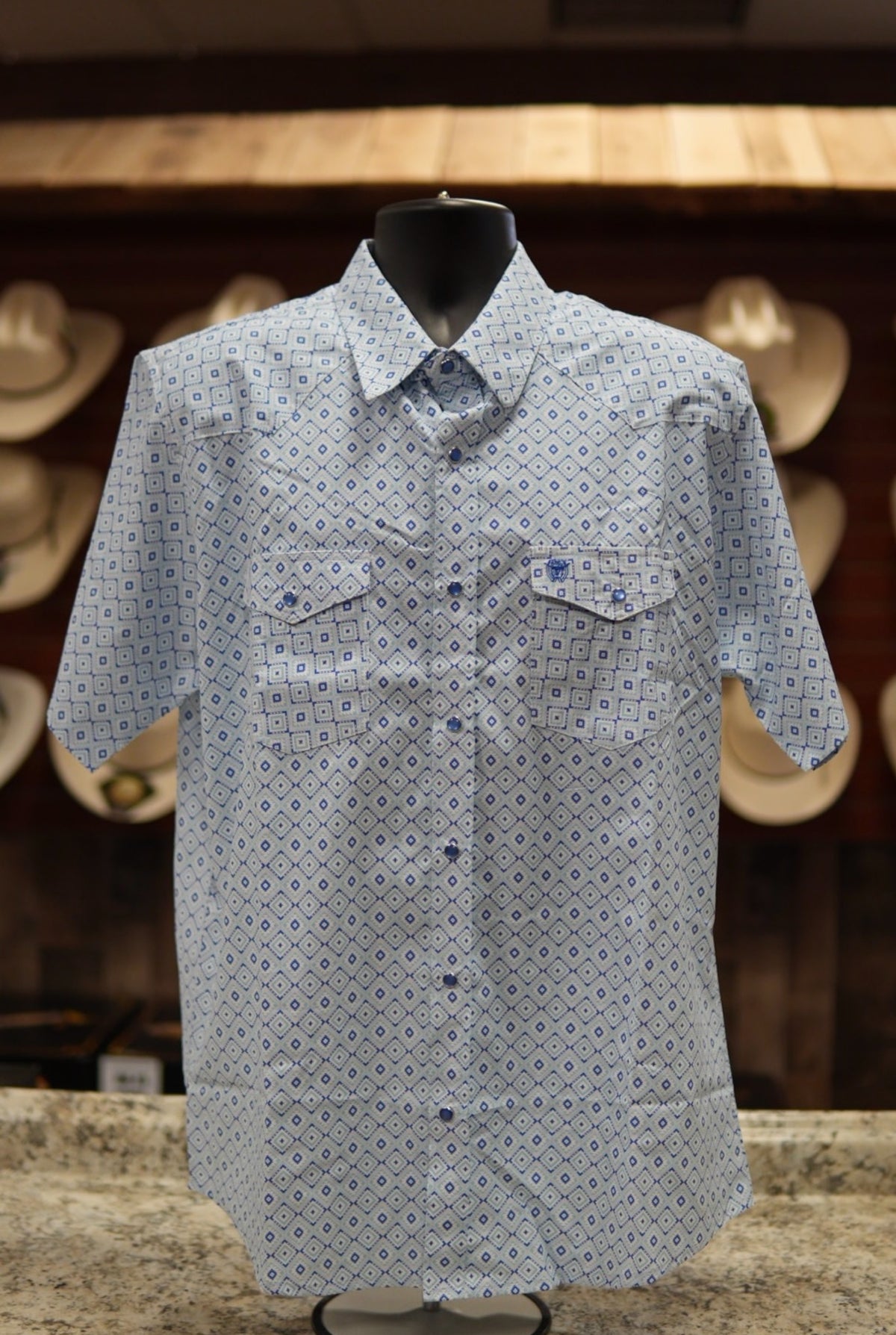 Men’s Printed Short Sleeve Button Up - Blue