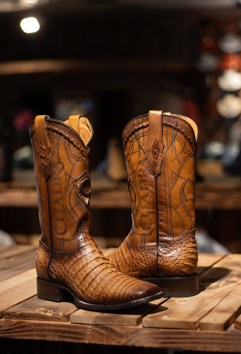 Cuadra - Caiman Belly Biza Arena Square Toe 3Z1OFY