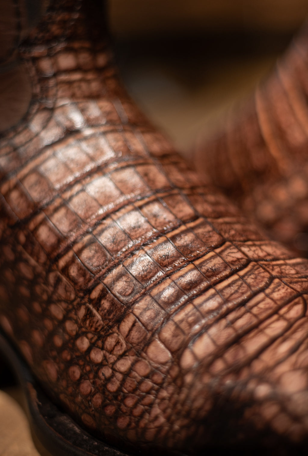 Cuadra - Caiman Belly Lumber Hueso Square Toe 1E1OFY