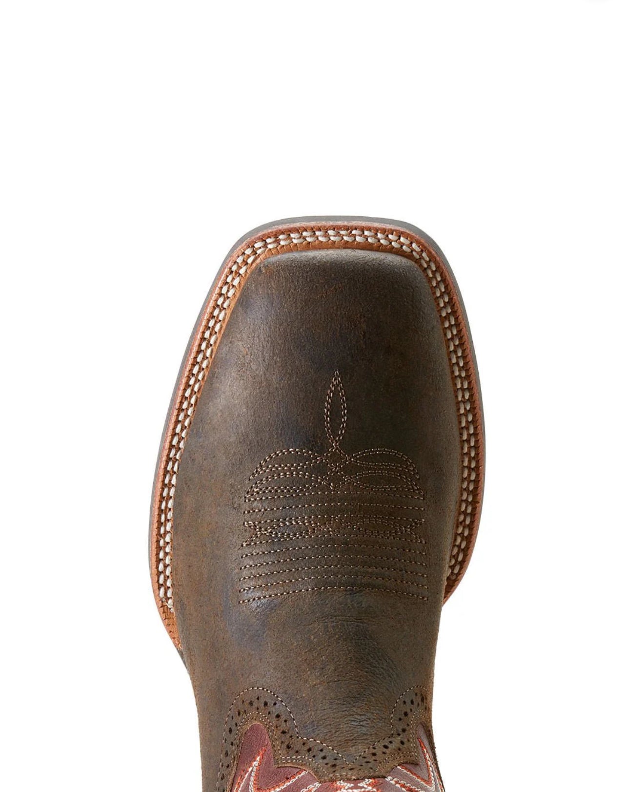 Ariat - Oakwood - Antique Grey/Roasted Chestnut - 10053567