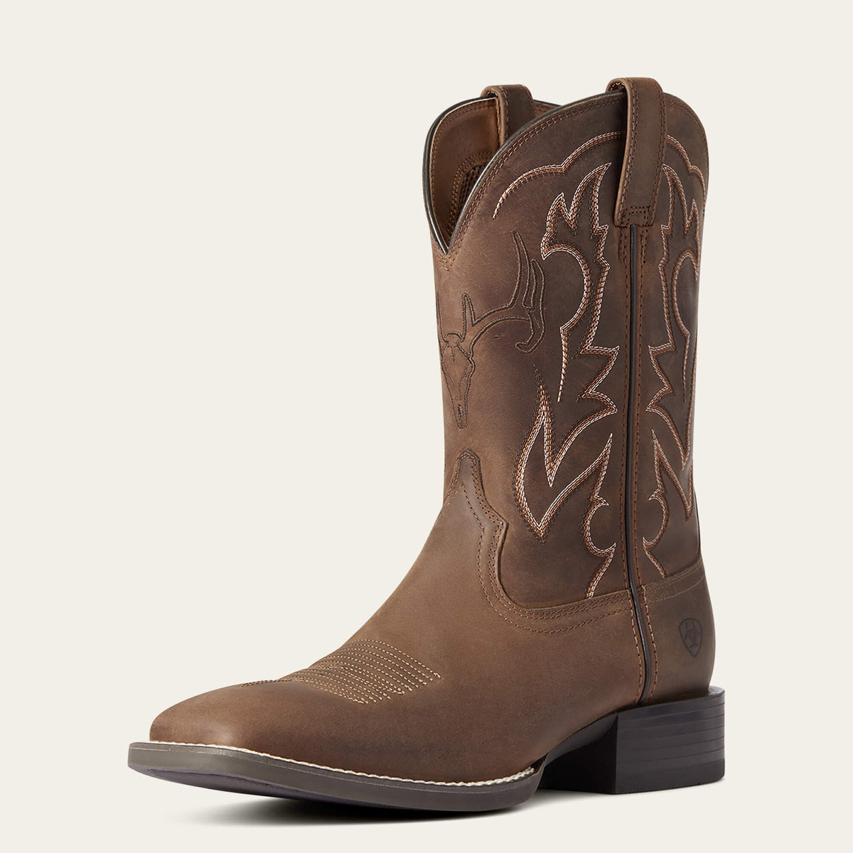 Ariat Men's Boots Sports Outdoor Distressed Brown