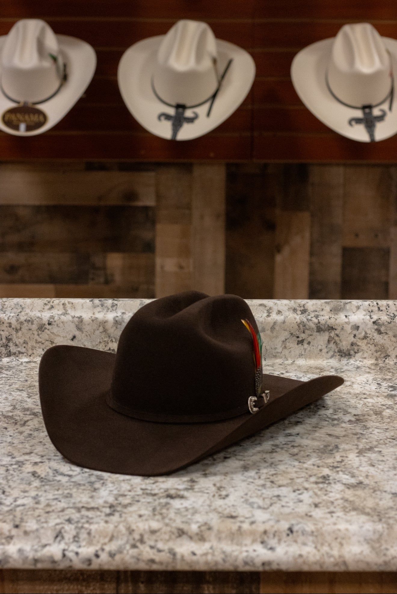 Stetson 6x Skyline - Chocolate