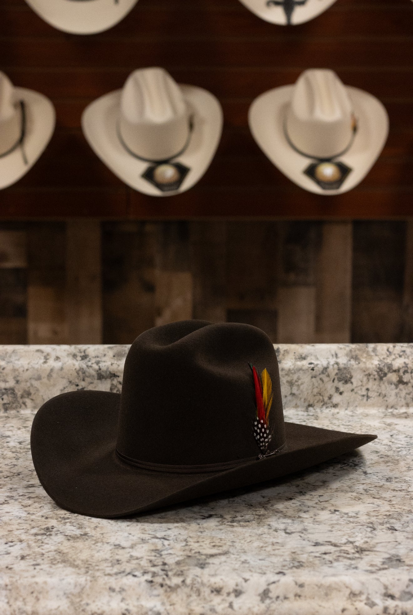 Stetson 6x Rancher - Chocolate