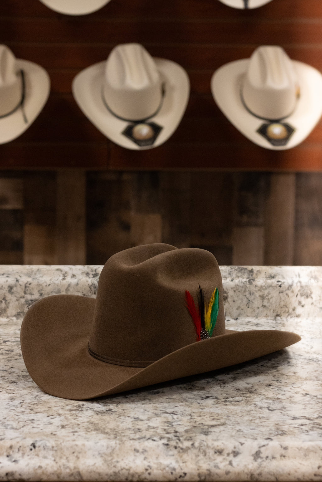 Stetson 6x Rancher - Acorn