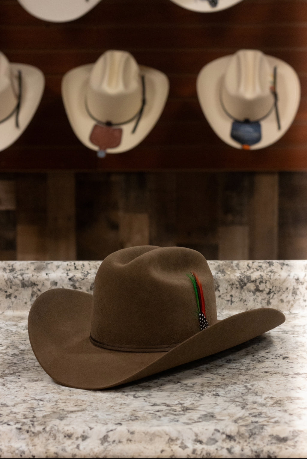 Stetson 6x Spartan - Acorn