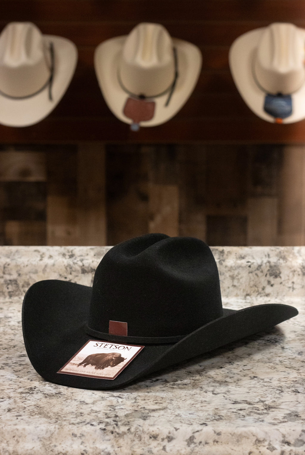 Stetson 4x - Buffalo Black
