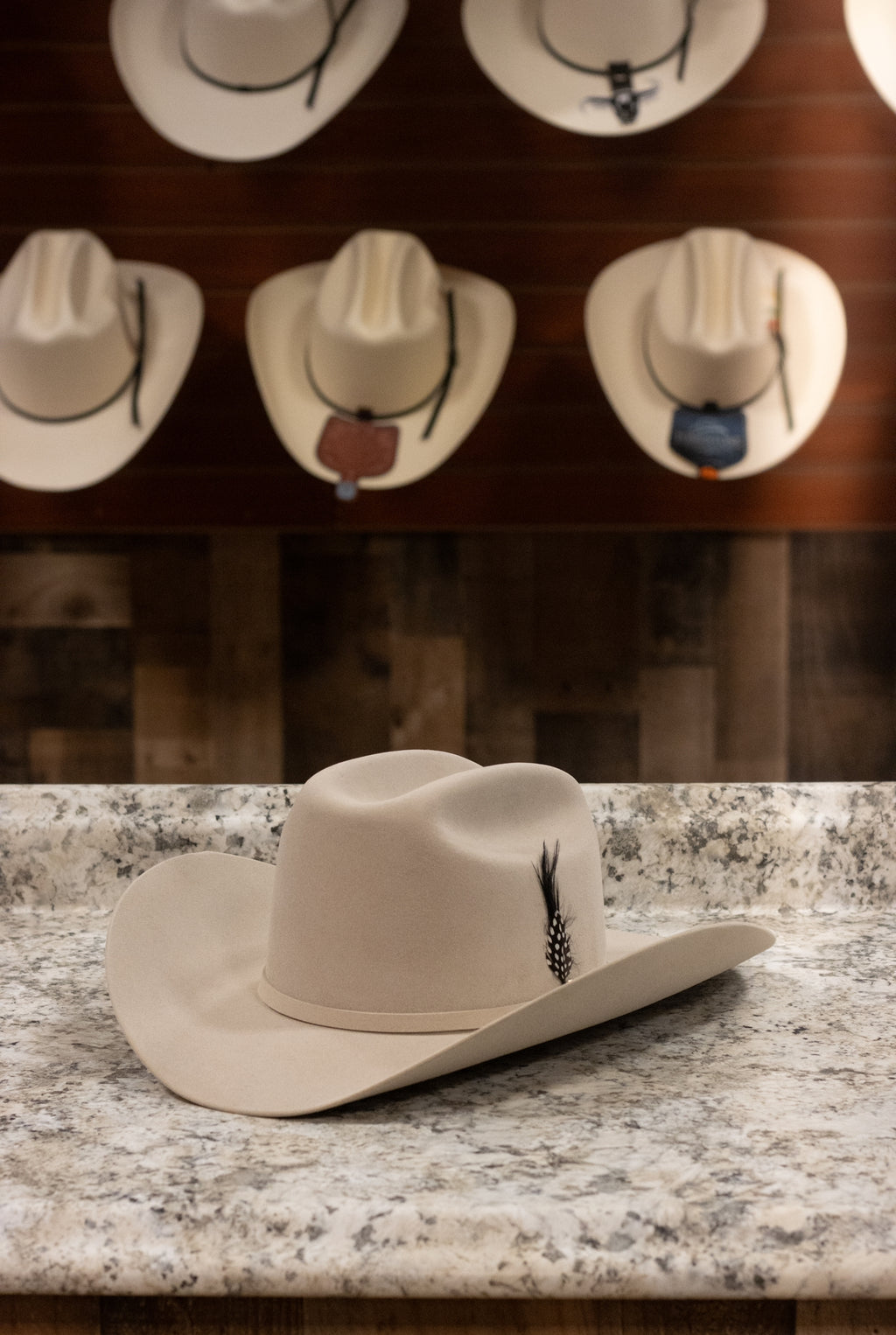 Stetson 30x - El Patron Silverbelly