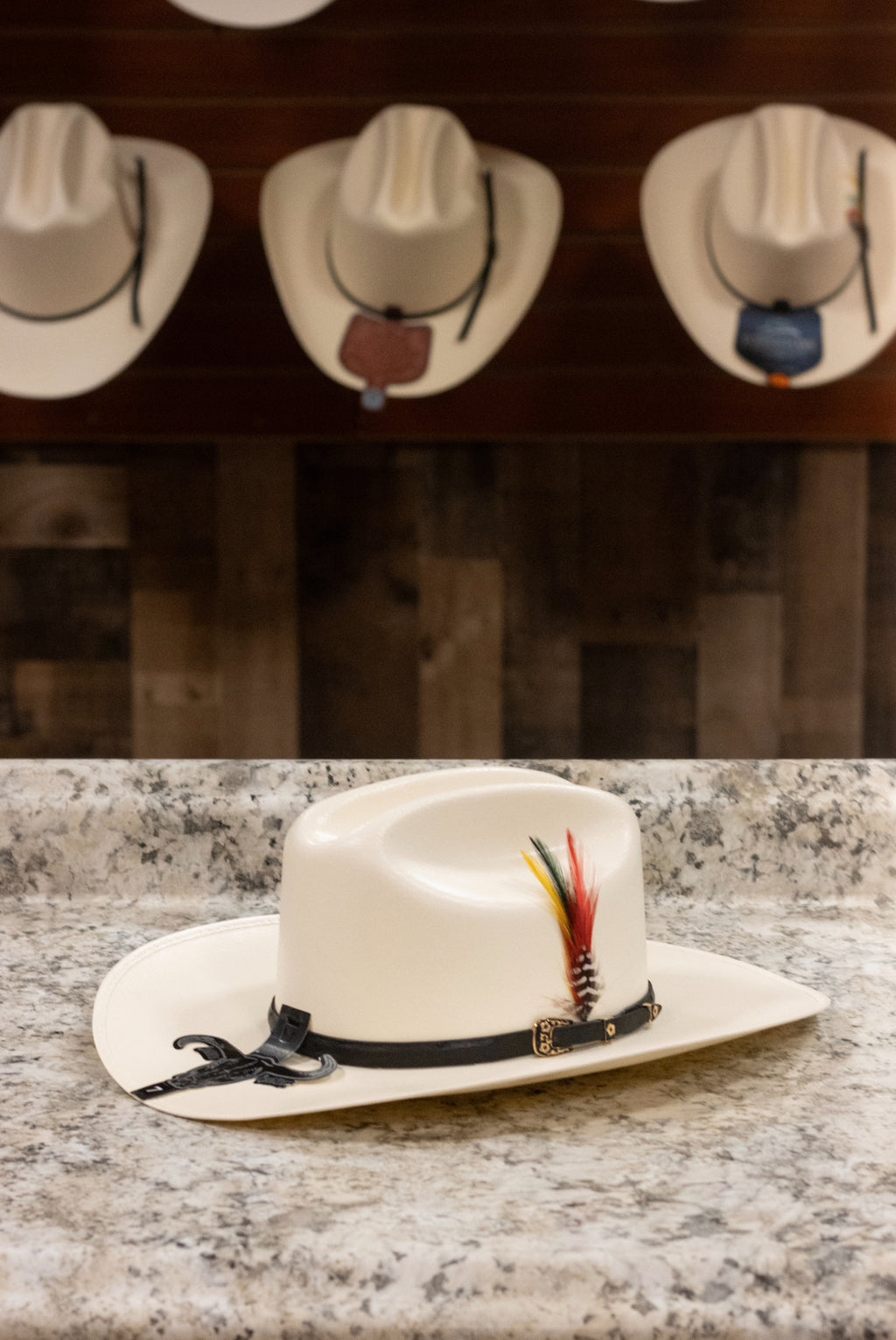 Cuernos Chuecos 500x - Sombrero