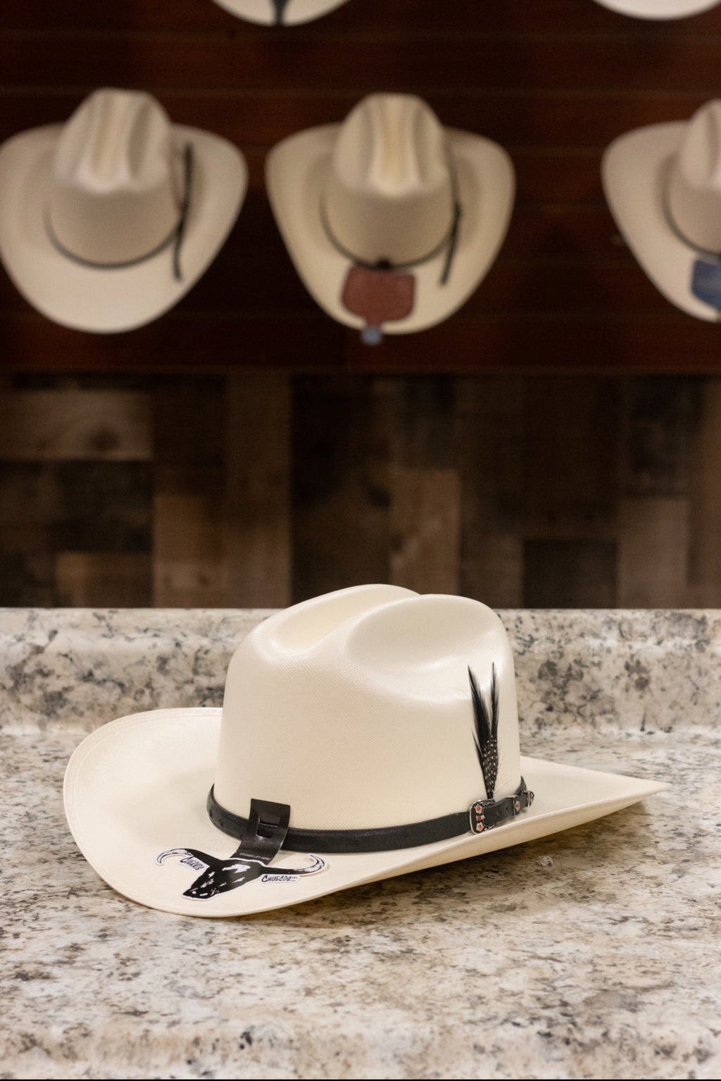 Cuernos Chuecos 10,000x - Sombrero