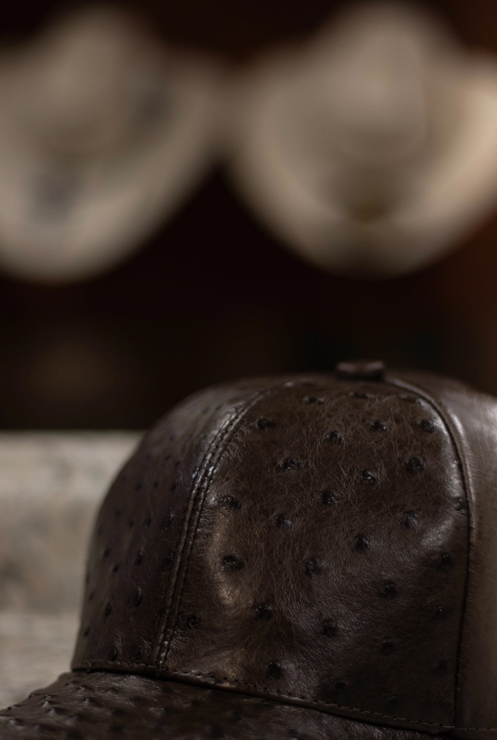 Ostrich “Faded Brown” Cap